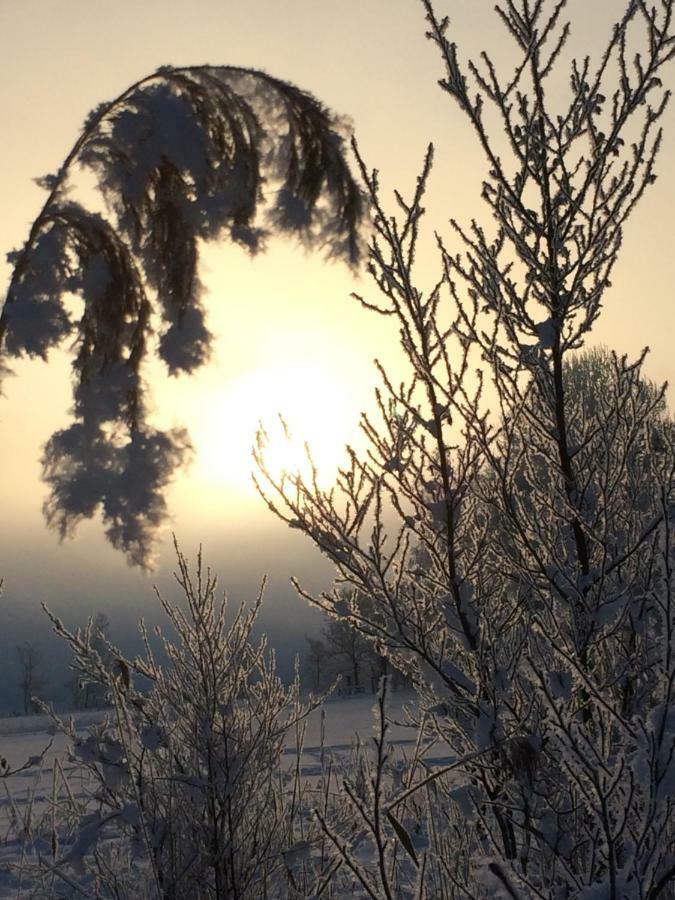 Zur Lieben Sonne Apartman Filzmoos Kültér fotó